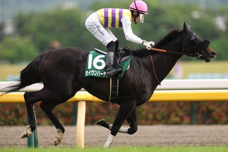的中実績 | 最強の関西馬専門の競馬情報ならCHECKMATE