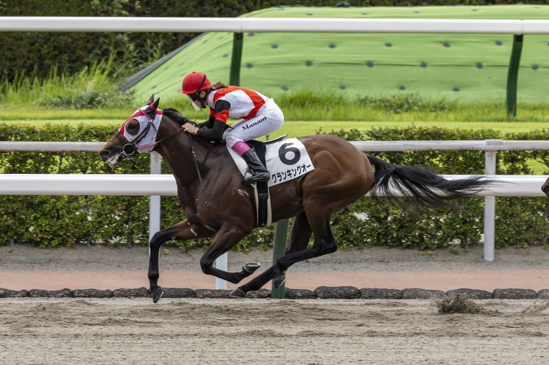 【中古】 競馬に勝つためのお作法８６/朝日ソノラマ/競馬サークル・ウーマン サナチャン Sanachan 牝 4歳 ※中央競馬 登録抹消