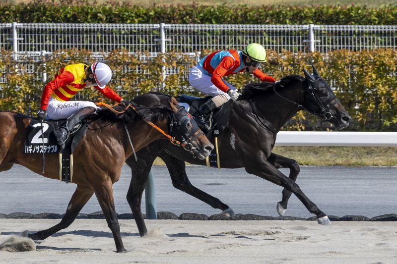 8/31(日)中京10R 白川郷S | 直近の的中実績 | 最強の関西馬専門
