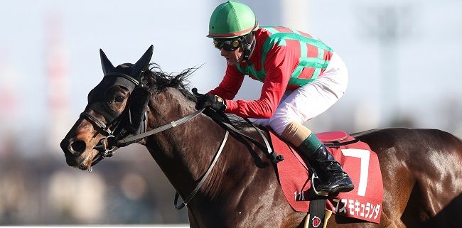 菊花賞　アーバンシック応援セット（単勝馬券、使用済クオカードほか）8点セット Bibian 比比昂- アーバンシック☆菊花賞☆優勝記念クオカード