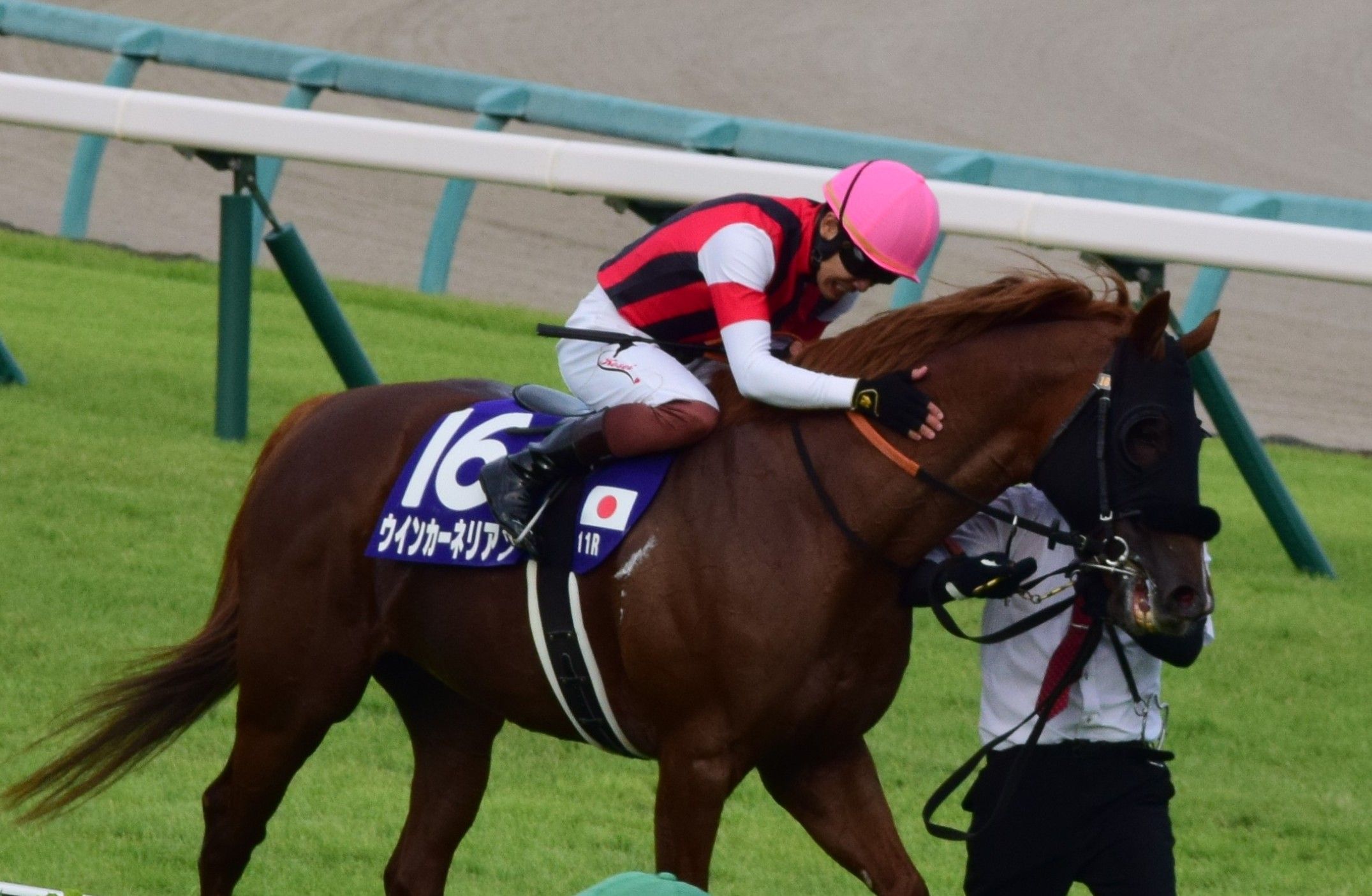 毎日王冠】1番人気が9割馬券に！重要なのは展開を読んだ馬券戦略