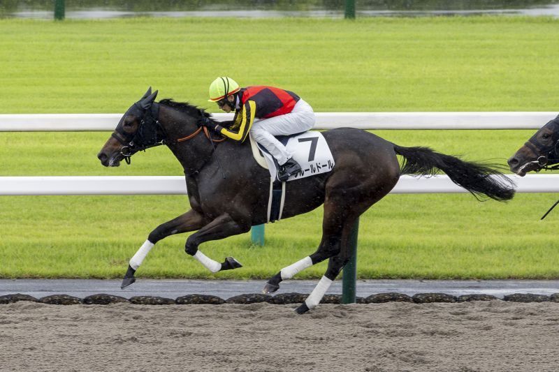 10/4(土)京都1R 2歳未勝利 | 直近の的中実績 | 最強の関西馬専門の競馬