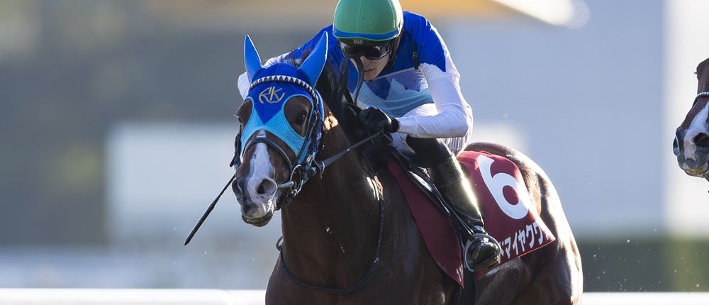 17戦連続で激走中】先週も勝ち馬推奨の堀江記者注目馬は？ | 個性派