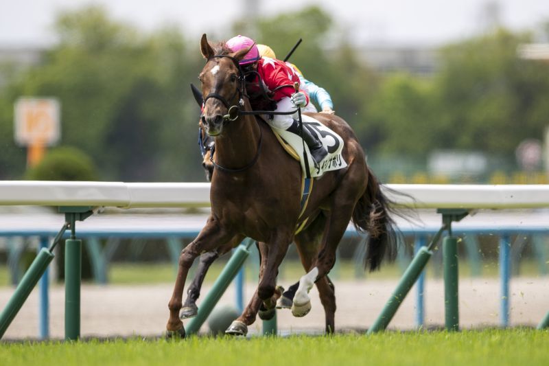 4/25(土)京都3R 3歳未勝利 | 直近の的中実績 | 最強の関西馬専門の競馬