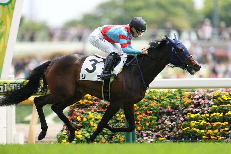 4/25(土)東京5R 3歳未勝利 | 直近の的中実績 | 最強の関西馬専門の競馬