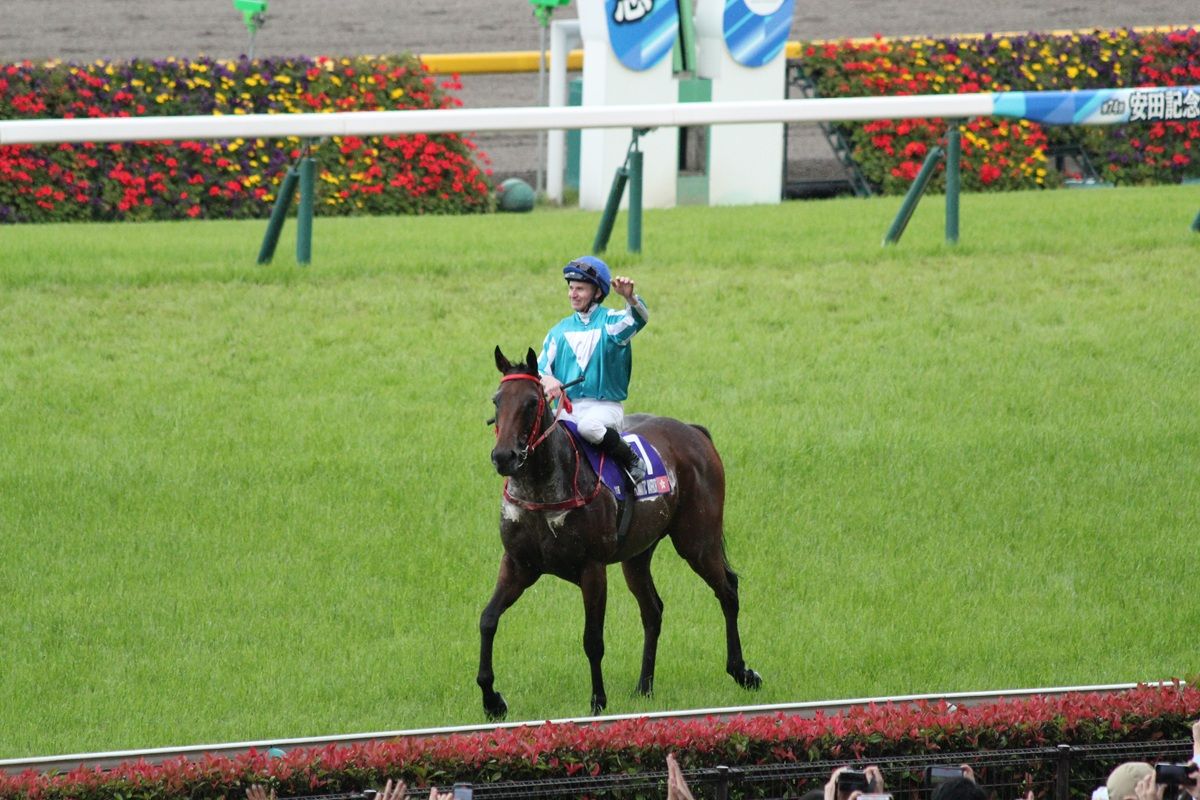 土曜の買い目も公開中】日本馬のG1勝利を幾度も阻んできた歴史的名馬